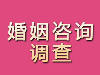 同安婚姻咨询调查